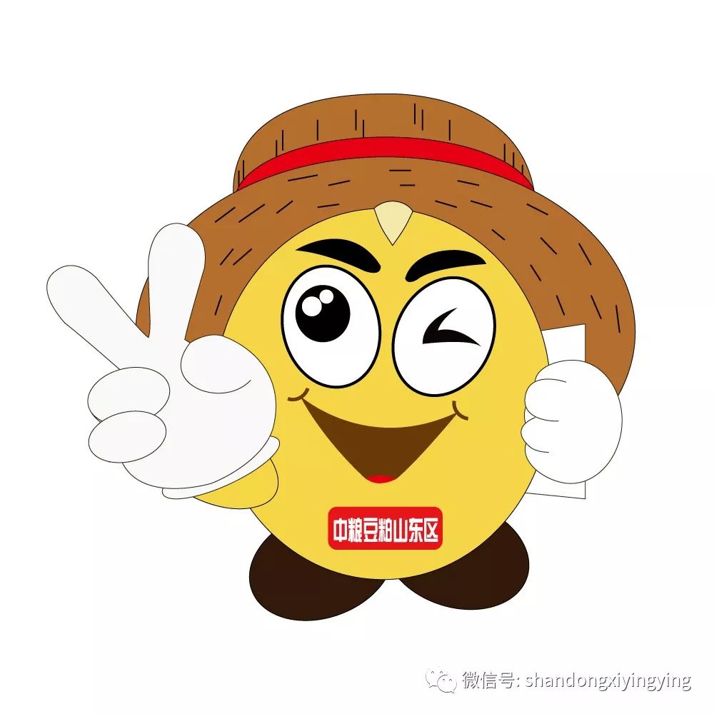为粕类产品从业者提供看得懂用得上的市场信息