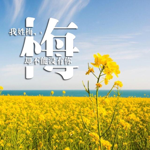 最美姓氏头像:换上属于自己的专属微信头像 快来领取!