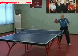 56cdc60c159e4320a355342694298523.gif