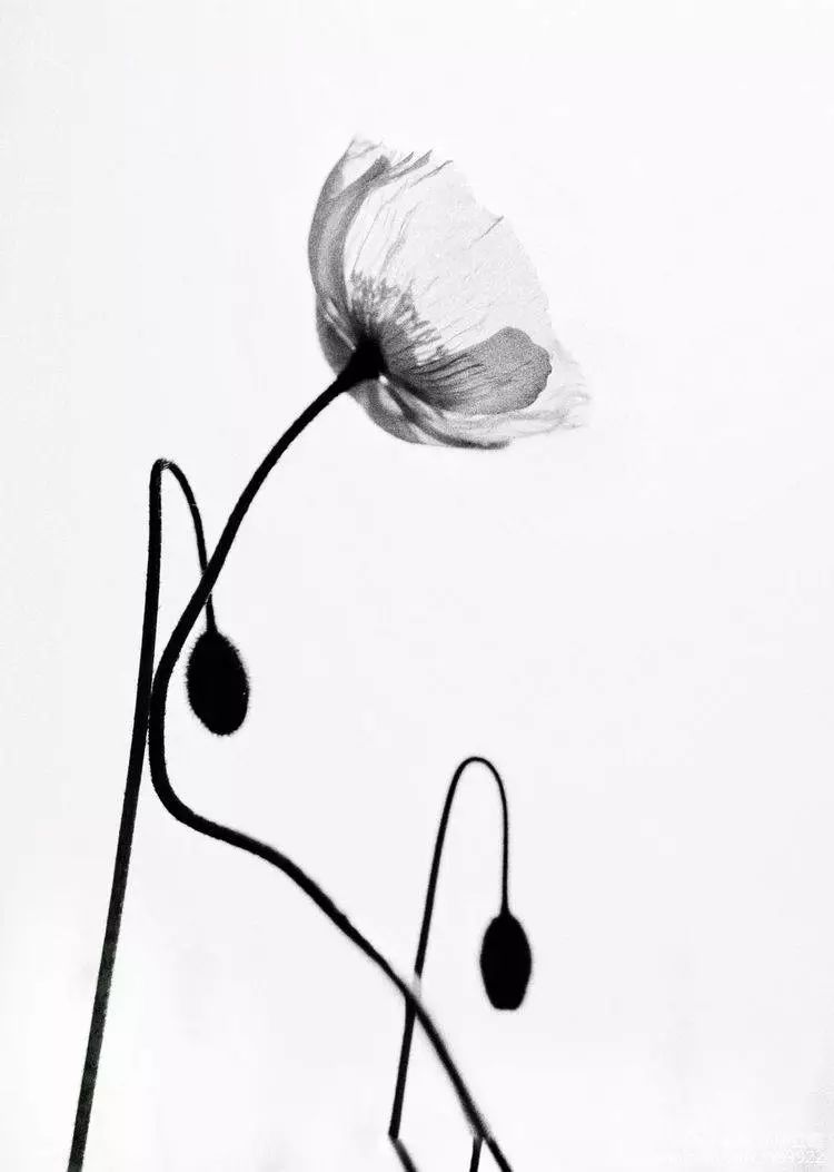 5ff6840b6d5d46249879df546ec6b01f.jpeg