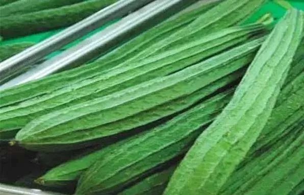 丝瓜的功效与作用害处 713337bfefb24d8faaa198b85b96eb0a.jpeg