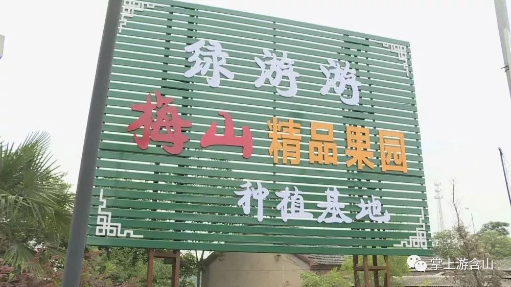 成语什么摘果_成语故事图片