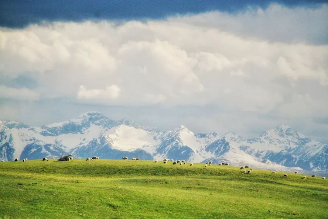 天山?天山在哪里?
