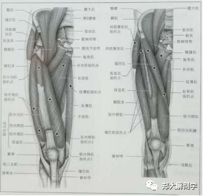 怎么瘦小腿和大腿和屁股 92bd3eb9e12e460480cfecdb153a6a32.jpeg