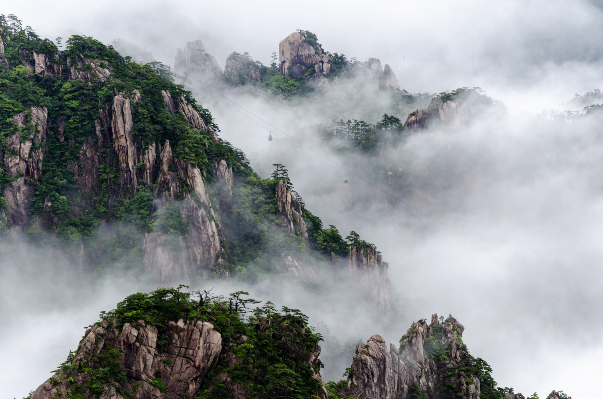 雨后黄山奇松怪石云海同框如画