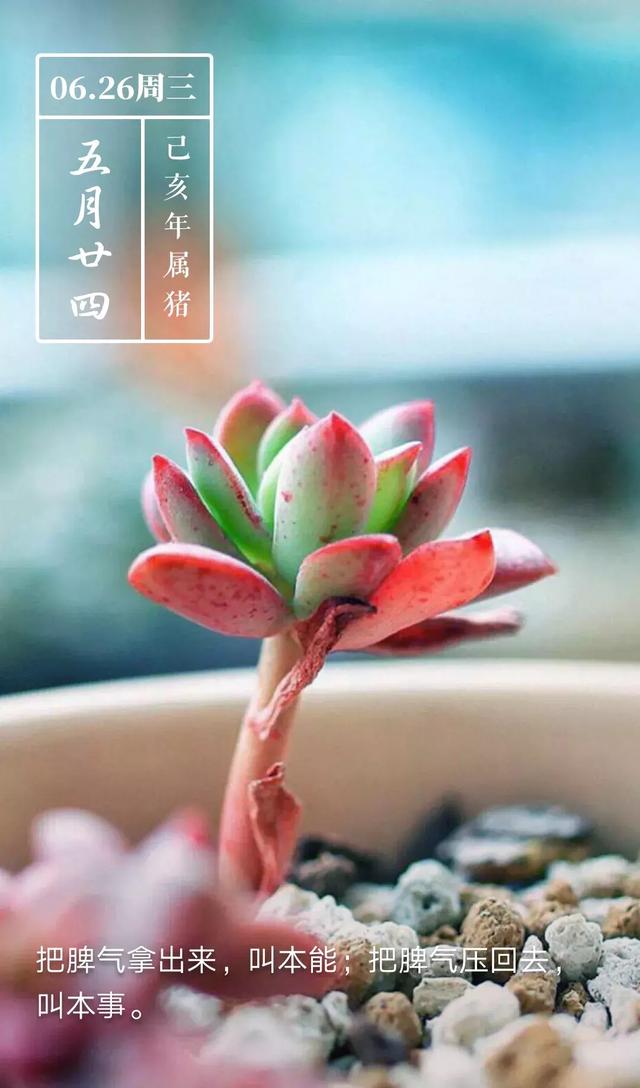 早上问候:每一天都是快乐的.请永远保持良好心态,早安