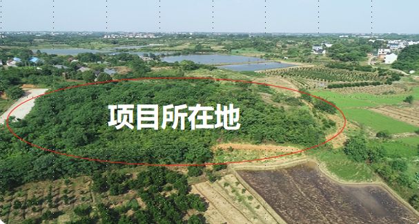 南昌新建区乡镇经济总量排名_南昌新建区乡镇分布图(2)