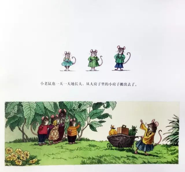 故事里的秘密 a41c3468a2c947bc886fe6590bd067ce.jpeg