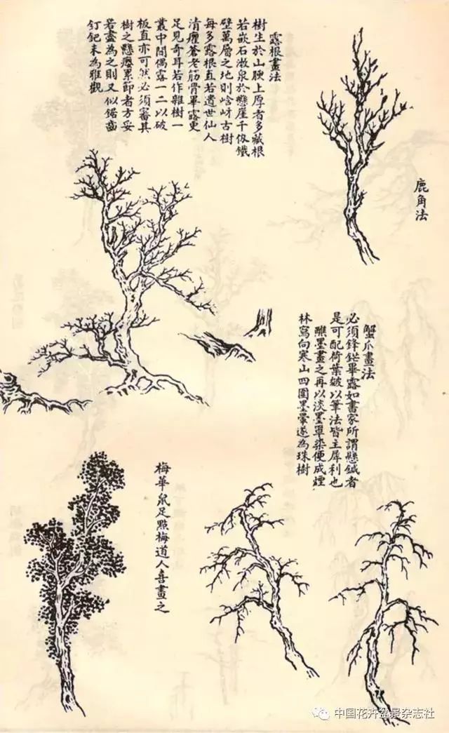 也可参考《芥子园画谱》中树的画法