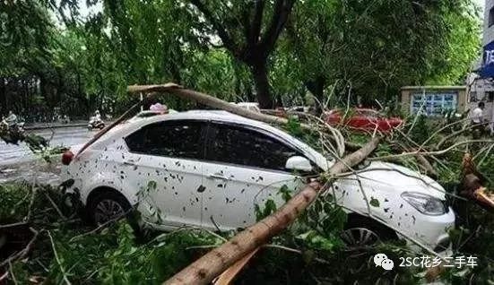 冰雹砸车