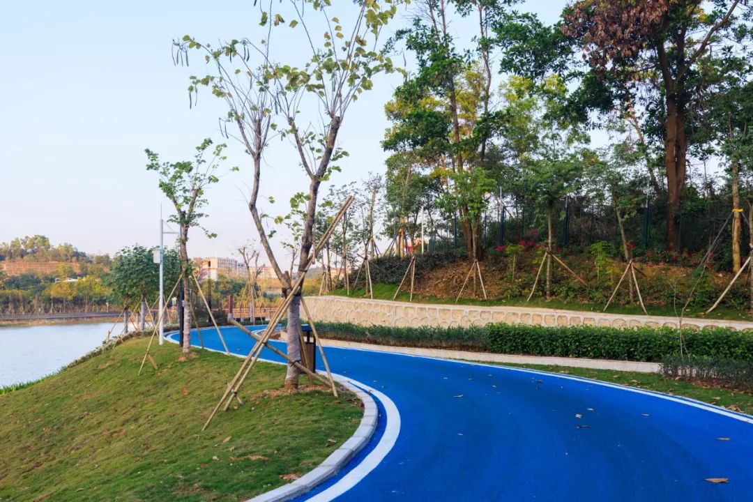 美得不像话,深圳12条最新城市绿道!_水库
