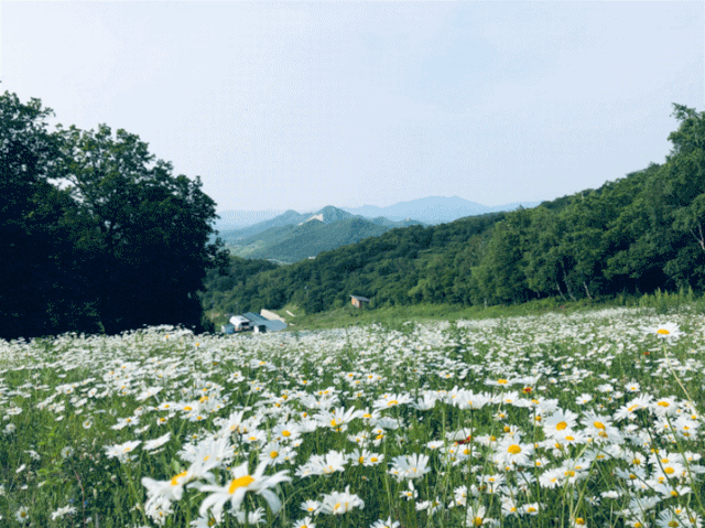 青山滴翠纵情山水间,风光旖旎与激情同在水上开业方阵表演,家庭露营