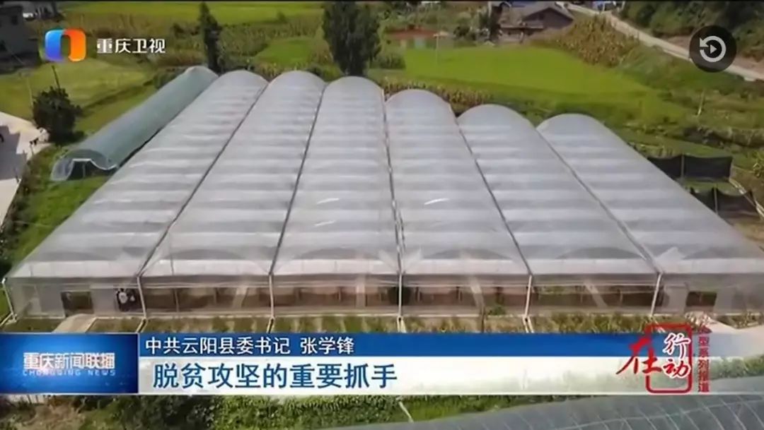 做大经济总量 做优经济质量_八开素描之优做大
