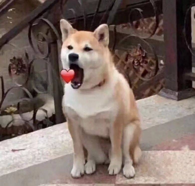 一只狗合火一个女人房子猜成语_看图猜成语(3)