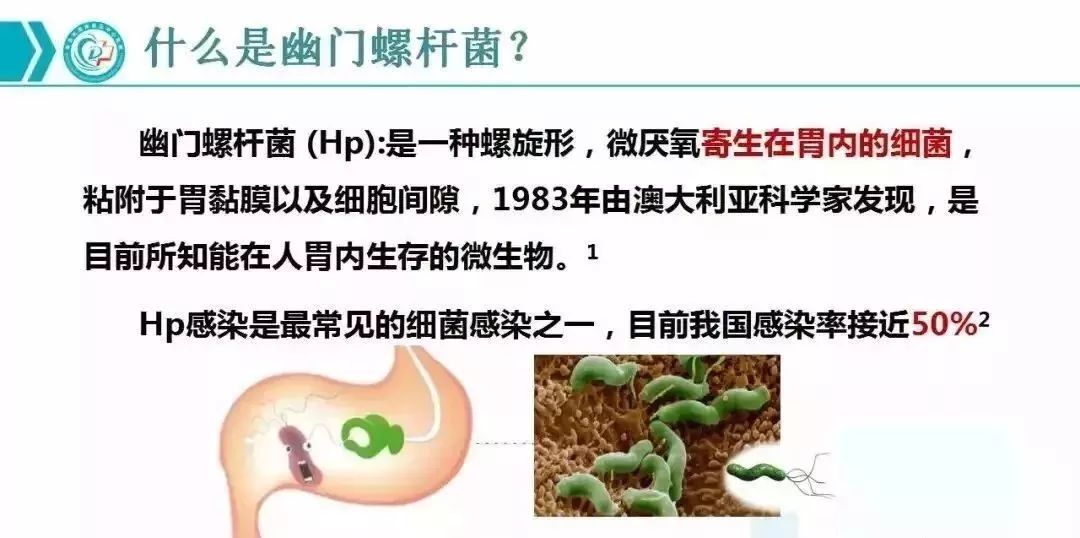 胃炎的人口_慢性胃炎图片