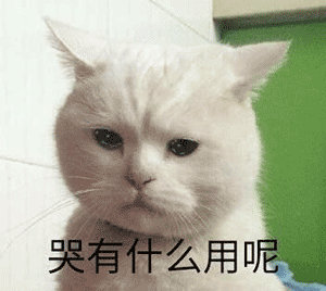 壁纸 动物 狗 狗狗 猫 猫咪 小猫 桌面 300_268 gif 动态图 动图