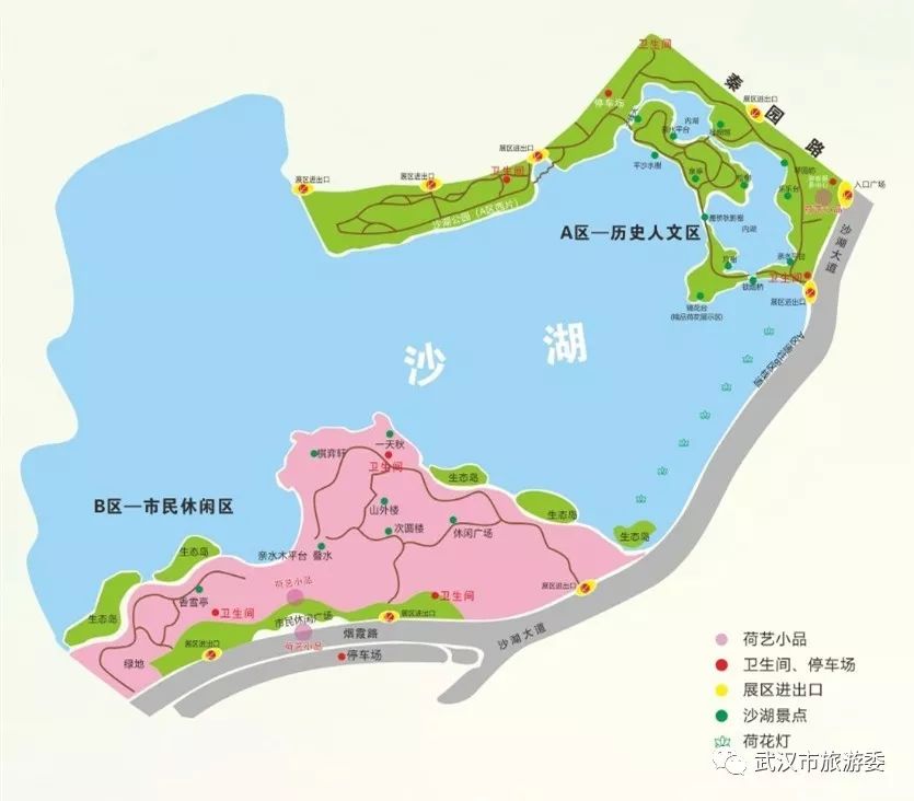 市民赏荷,推荐从沙湖大道和秦园路交叉口的a区大门进入沙湖公园.