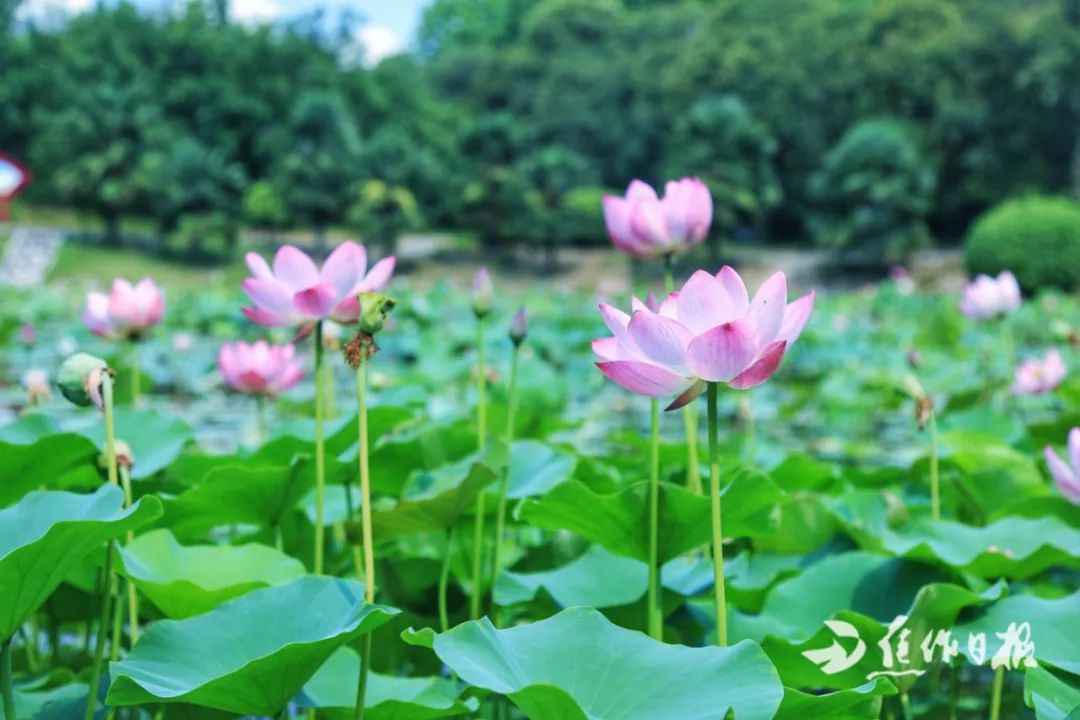 bb765251ce504bba8d4ecc35b3a6449b.jpeg