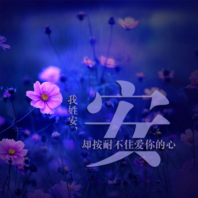 最美姓氏头像换上属于自己的专属微信头像快来领取