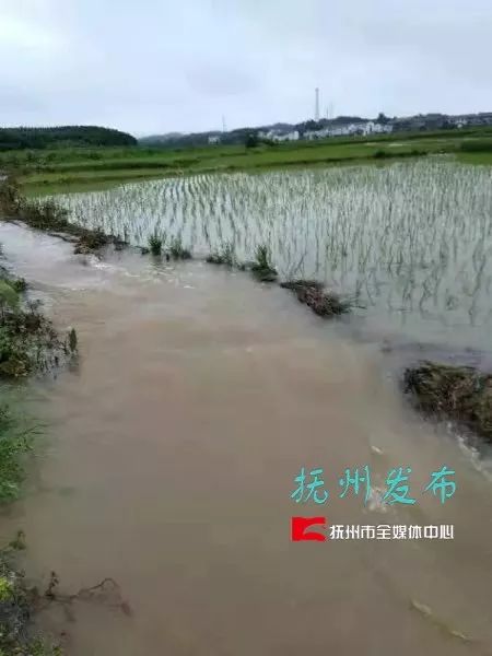 宜黄县各镇人口_宜黄县地图(2)