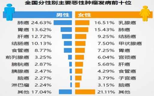 2021全国老年人口_全国人口普查(3)