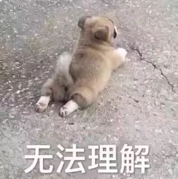 表情包:?哪来的沙雕
