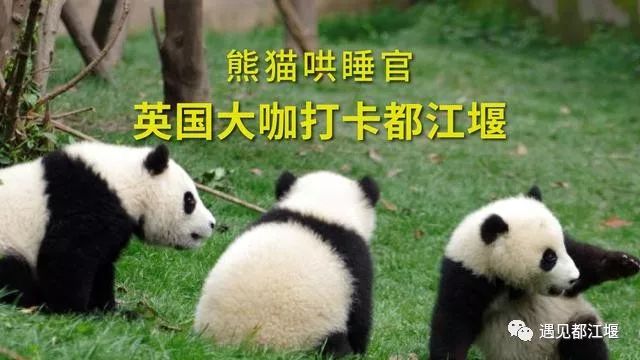 cd626c938f714c17b9c87761cc05c7a7.jpeg