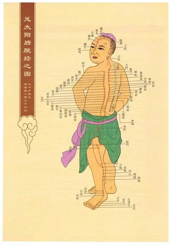 原来经络是管这个的_心包
