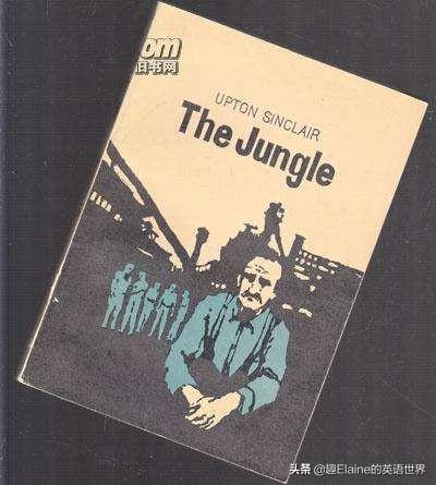 大部分英文经典名著全屏那一两句话概括,并且