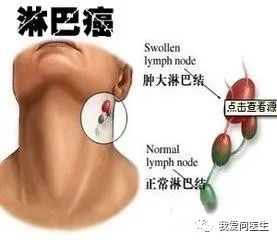 de252179b4d4482aab5cf0e72e0ec414.jpeg