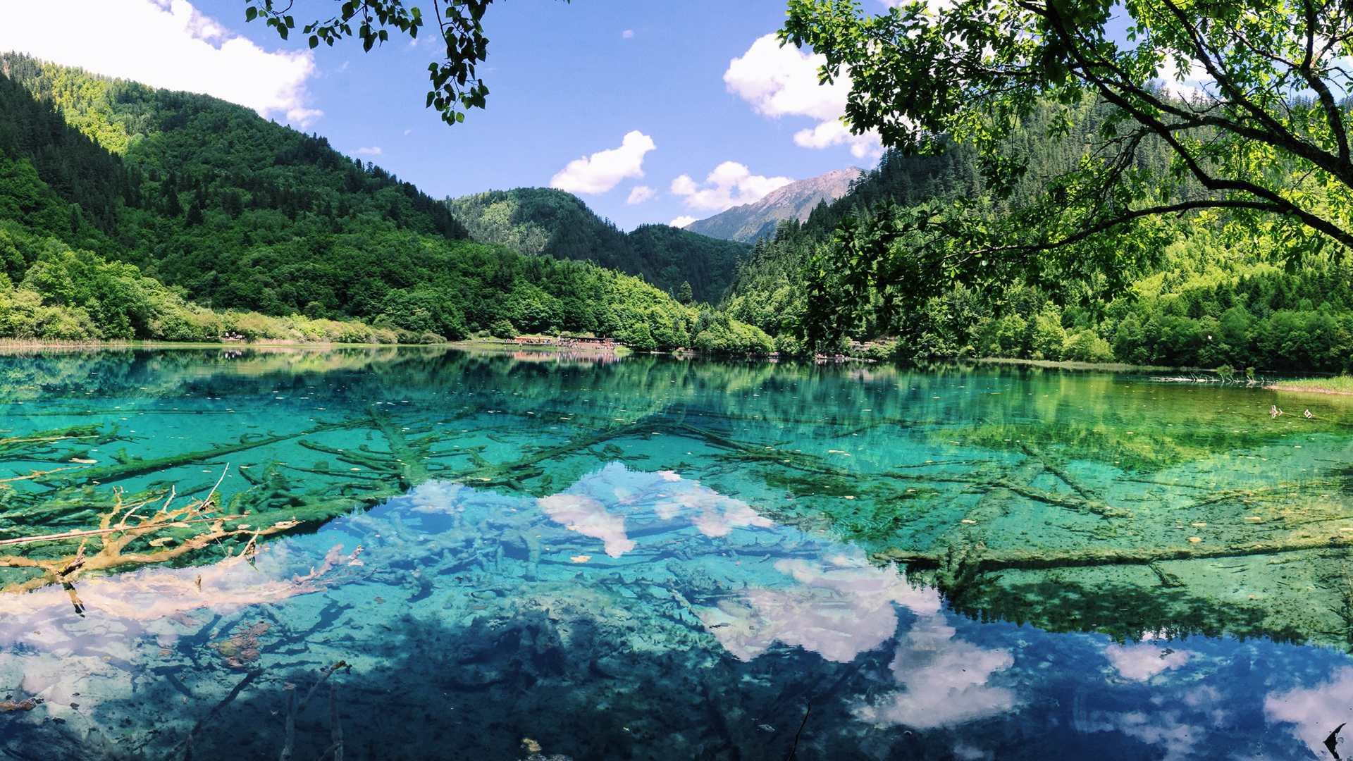 原创国内最适合老年人夏季旅游的4个地方,开销合适,风景一流