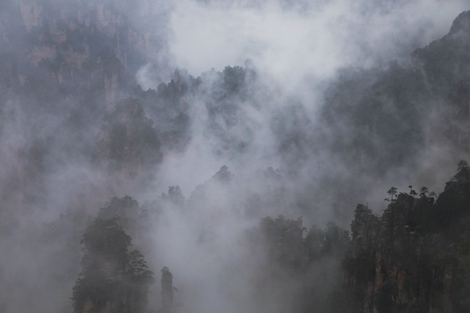 带你欣赏 玩转张家界森林公园最美风景