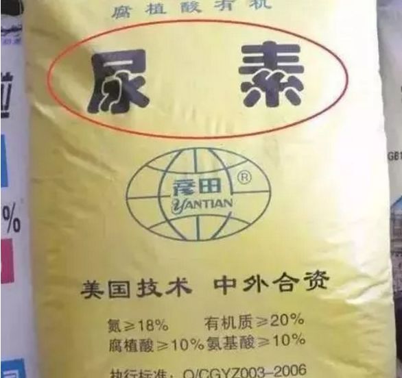 e8e311ea92e34aa3bf521fa44a412313.jpeg