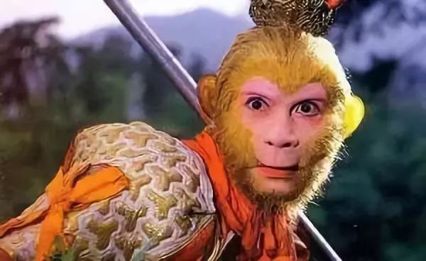 ece30bf69441431c9a5b842d55a370b2.jpeg