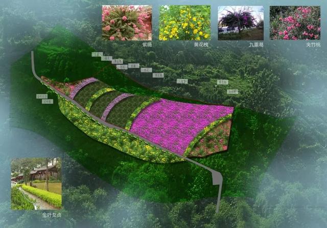 新玉隧道,巴南收费站,海棠立交绿化项目包括:对土坡菜地进行绿化,面积