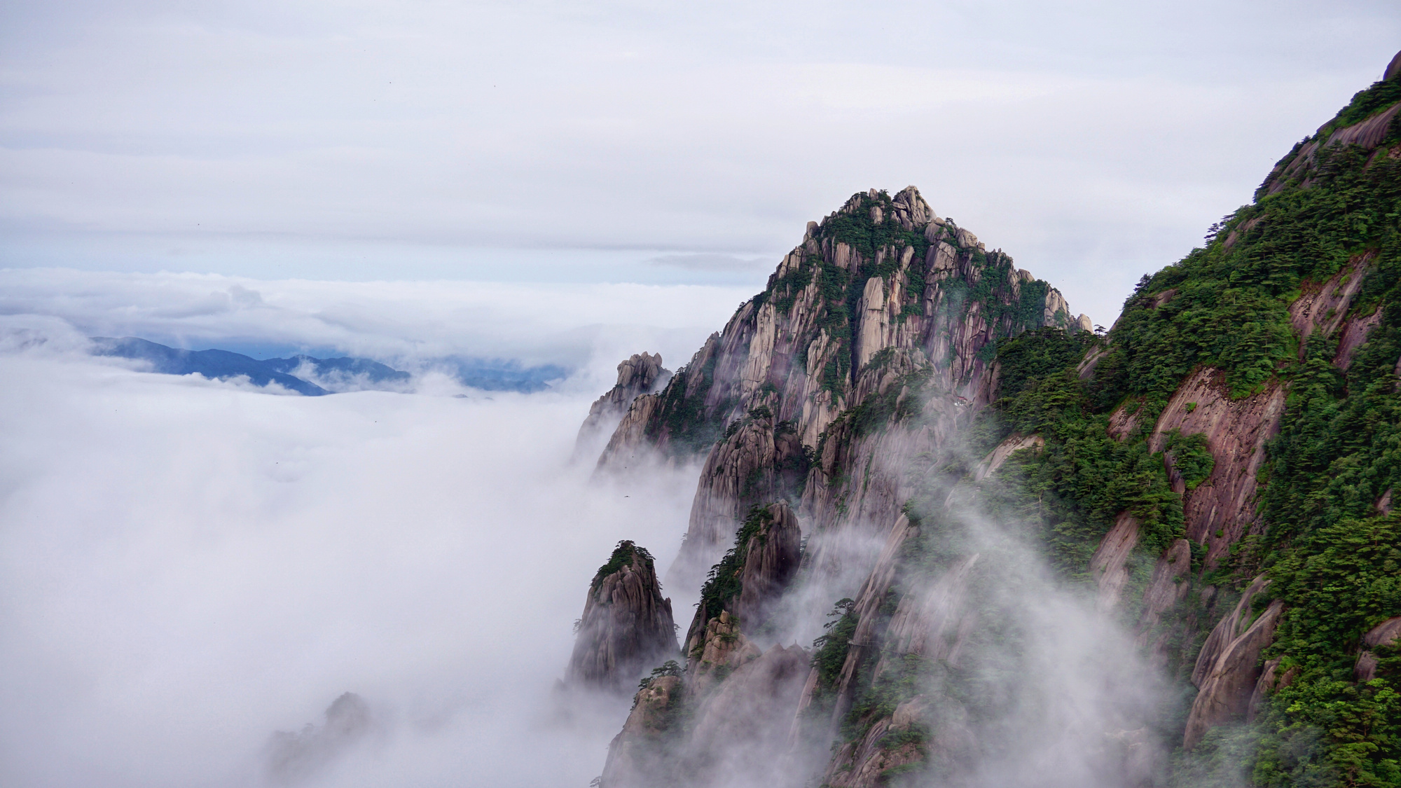 雨后黄山奇松怪石云海同框如画