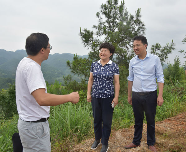 涟源市委书记谢学龙(右二)在古塘乡申家村听取南华大学驻村帮扶工作队