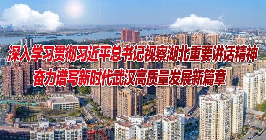 武汉市青山区人口_武汉市青山区图片