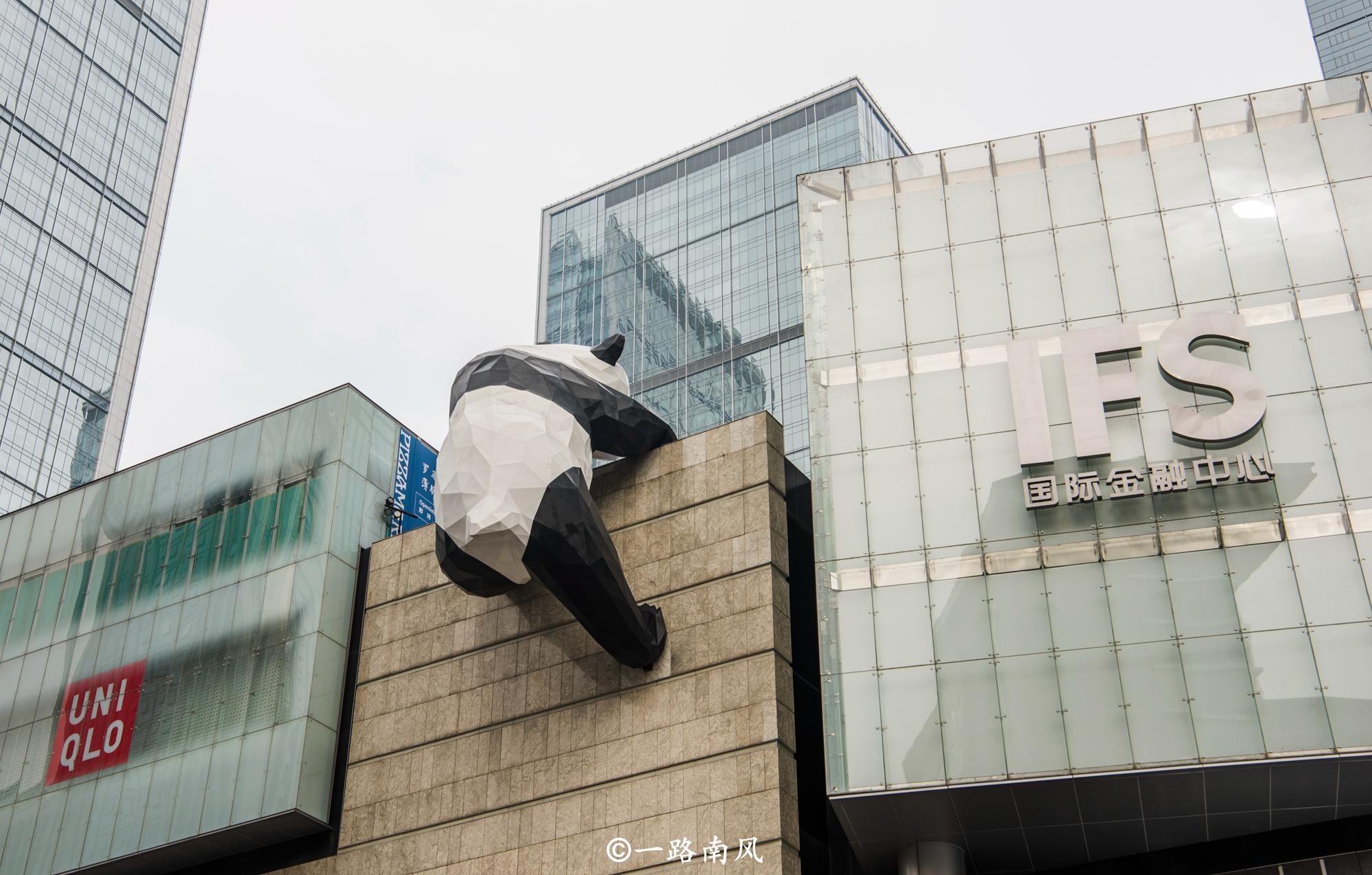 成都网红街道,因巨型熊猫爬楼而爆红,真是"萌翻了!