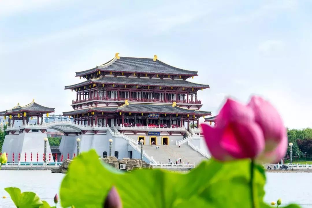 文末福利 |"雨女有瓜",大唐芙蓉园门票降价啦!