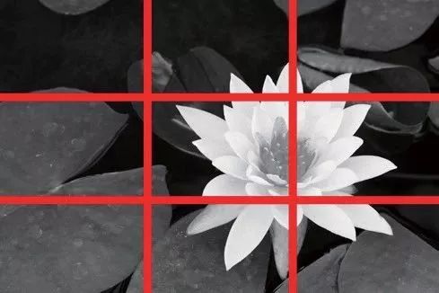 所谓井字形构图,就是指在构建画面的时候,以虚拟的
