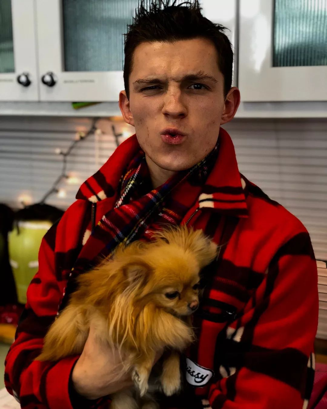 赏色 | 男友力爆棚的荷兰弟,比你优秀还比你努力