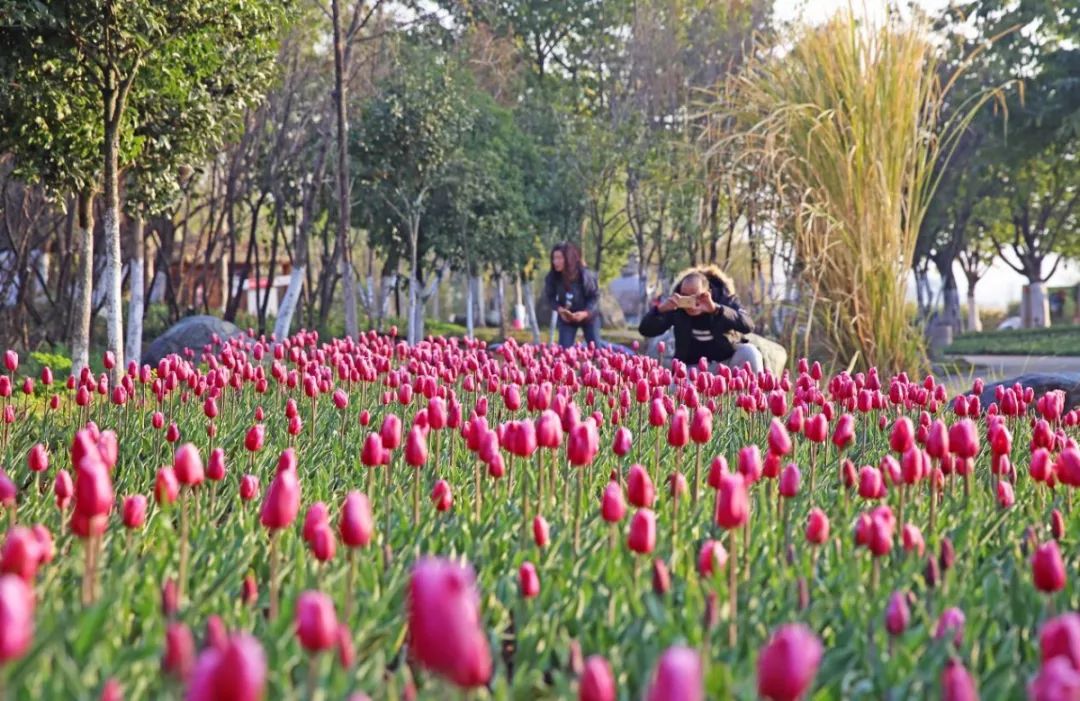 ����Ѷ������ֱ���Ϻ�7��14���׺����������飬��̲����ʿ�� ...