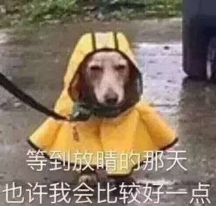 天气大反转！南漳接下来半个月又是雨雨雨！更要命的是下个月仍旧……