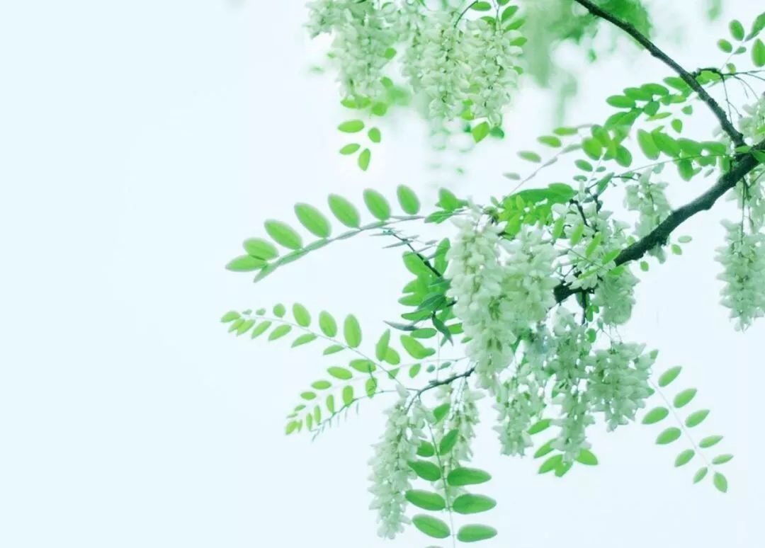 夏天和你,都是翘首以盼的惊喜