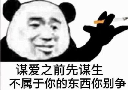 貓熊頭吸煙表情包系列 寵物 第7張