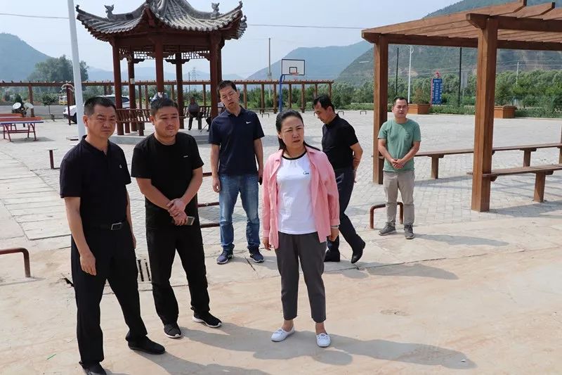 段玉凤调研城乡人居环境整治工作