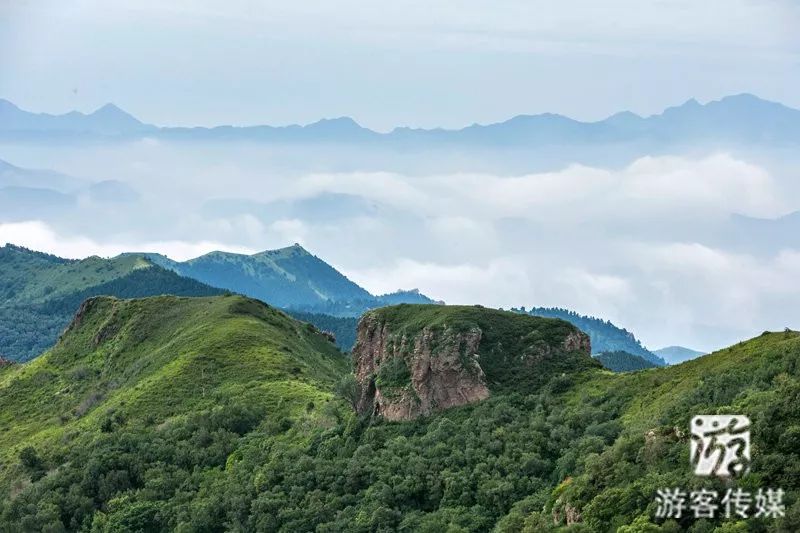 上海剥打端子机_常旺自动化_批发市场哪个好_产品优势多