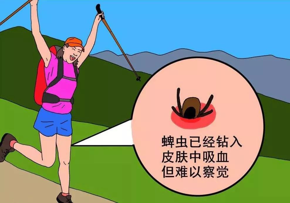 【健康】千万要小心了!夏季