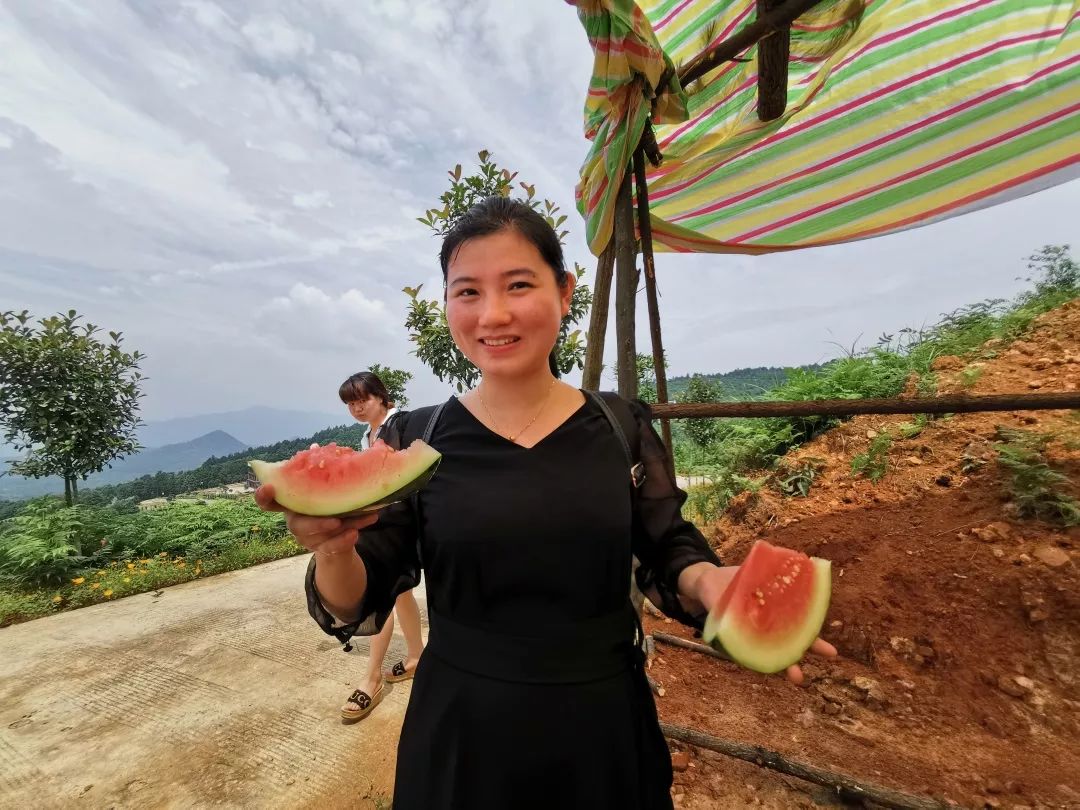 周末就去敏村景区摘西瓜去吧